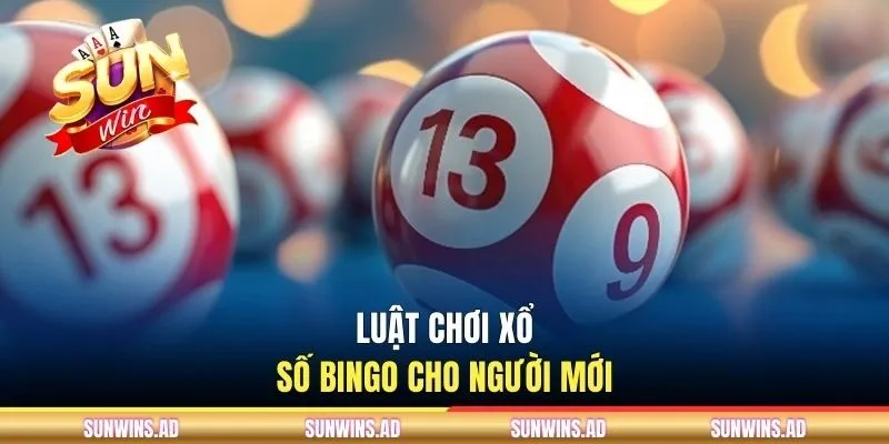 Luật chơi xổ số Bingo cho người mới