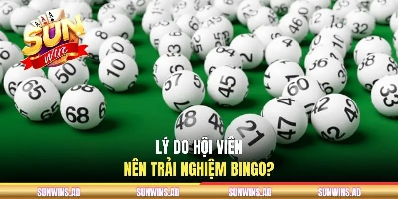Lý do hội viên nên trải nghiệm Bingo?