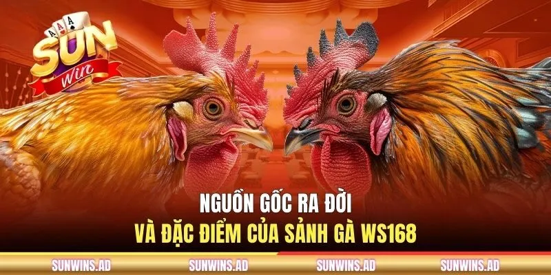 Nguồn gốc ra đời và đặc điểm của sảnh gà WS168